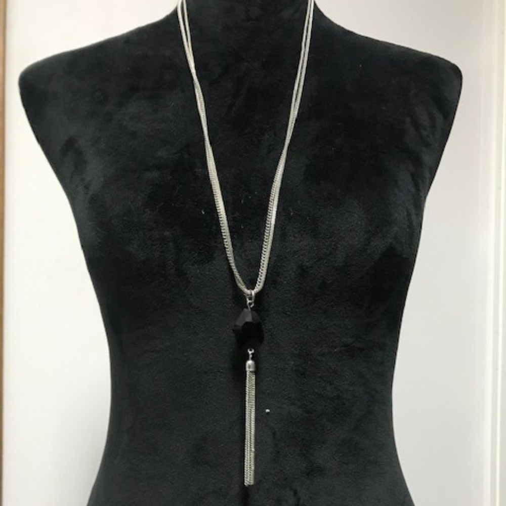 Long Accent Necklace